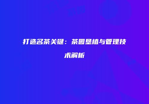 打造名茶关键：茶园垦植与管理技术解析