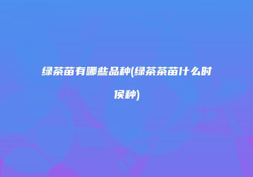 绿茶苗有哪些品种(绿茶茶苗什么时侯种)