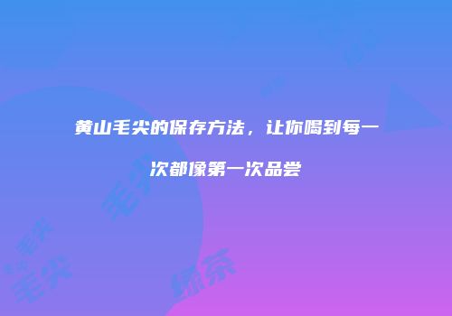 黄山毛尖的保存方法，让你喝到每一次都像第一次品尝