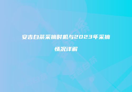 安吉白茶采摘时机与2023年采摘情况详解