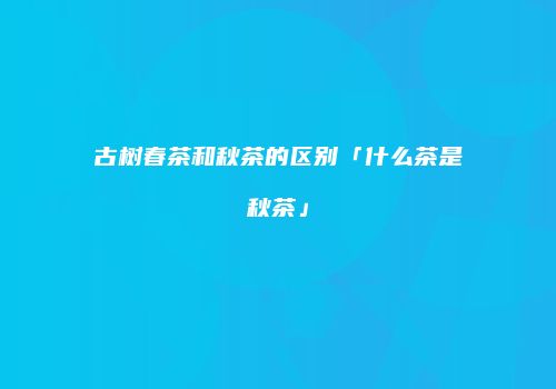 古树春茶和秋茶的区别「什么茶是秋茶」