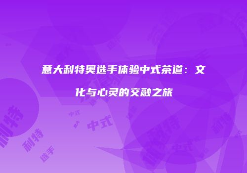 意大利特奥选手体验中式茶道：文化与心灵的交融之旅