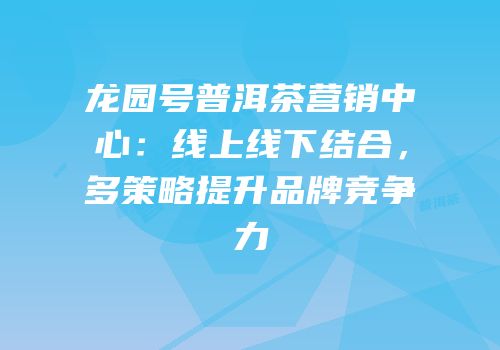 龙园号普洱茶营销中心：线上线下结合，多策略提升品牌竞争力