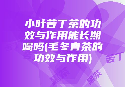 小叶苦丁茶的功效与作用能长期喝吗(毛冬青茶的功效与作用)
