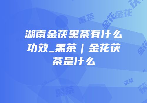 湖南金茯黑茶有什么功效_黑茶｜金花茯茶是什么