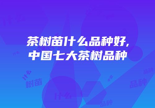 茶树苗什么品种好,中国七大茶树品种