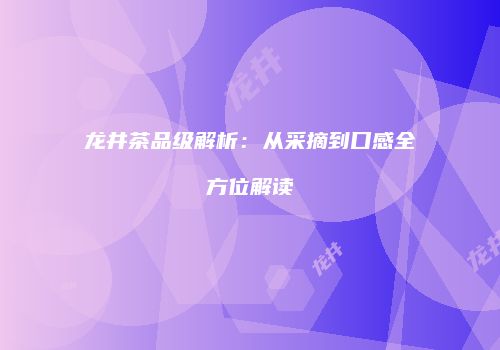龙井茶品级解析：从采摘到口感全方位解读