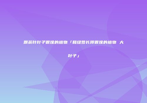 跟茶叶叶子很像的植物「和绿萝长得很像的植物 大叶子」