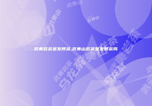武夷岩茶是发酵茶,武夷山岩茶是发酵茶吗