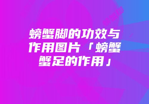 螃蟹脚的功效与作用图片「螃蟹蟹足的作用」