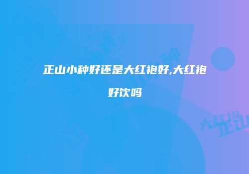 正山小种好还是大红袍好,大红袍好饮吗