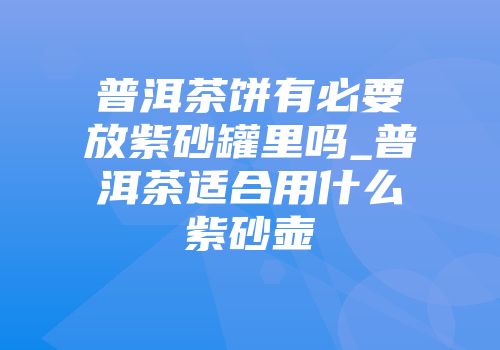 普洱茶饼有必要放紫砂罐里吗_普洱茶适合用什么紫砂壶