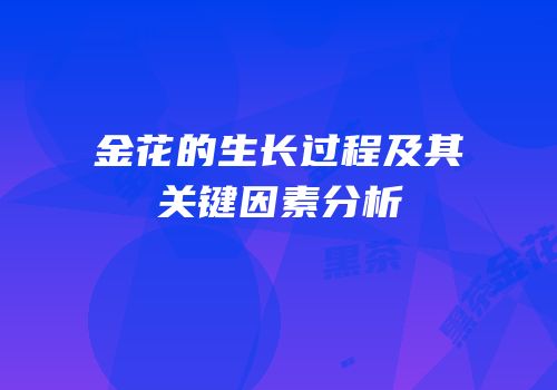 金花的生长过程及其关键因素分析