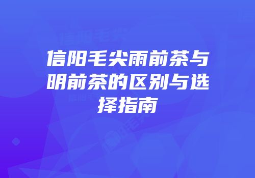 信阳毛尖雨前茶与明前茶的区别与选择指南