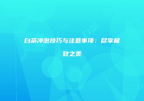 白茶冲泡技巧与注意事项：尽享极致之美