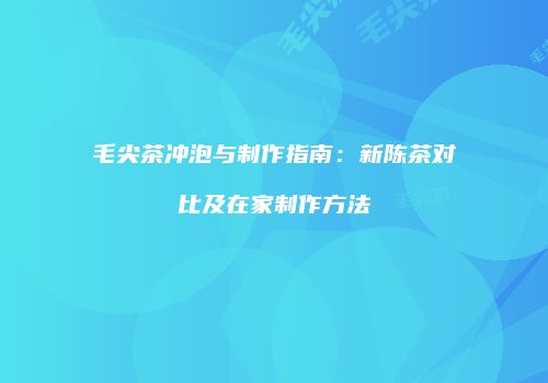 毛尖茶冲泡与制作指南：新陈茶对比及在家制作方法