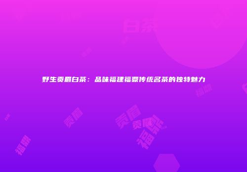 野生贡眉白茶：品味福建福鼎传统名茶的独特魅力