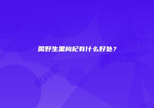 喝野生黑枸杞有什么好处？