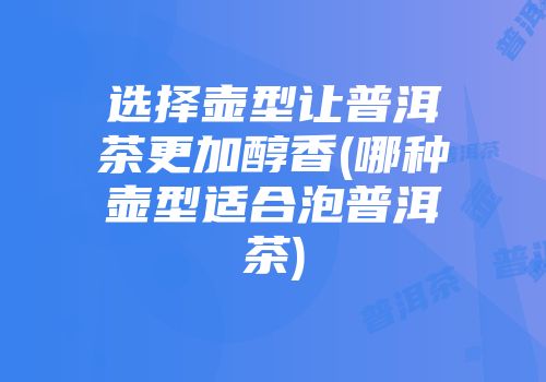 选择壶型让普洱茶更加醇香(哪种壶型适合泡普洱茶)