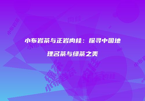 小布岩茶与正岩肉桂：探寻中国地理名茶与绿茶之美
