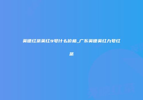 英德红茶英红9号什么价格_广东英德英红九号红茶