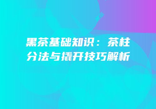 黑茶基础知识：茶柱分法与撬开技巧解析