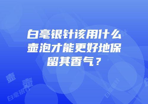 白毫银针该用什么壶泡才能更好地保留其香气？
