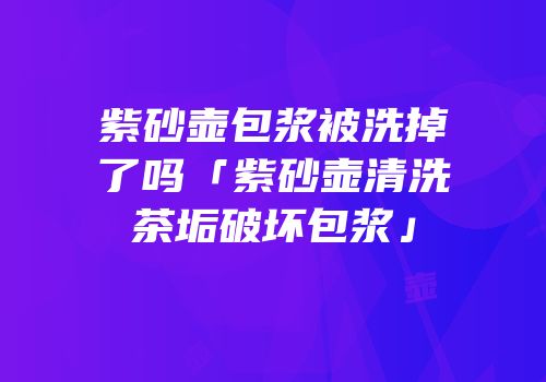紫砂壶包浆被洗掉了吗「紫砂壶清洗茶垢破坏包浆」