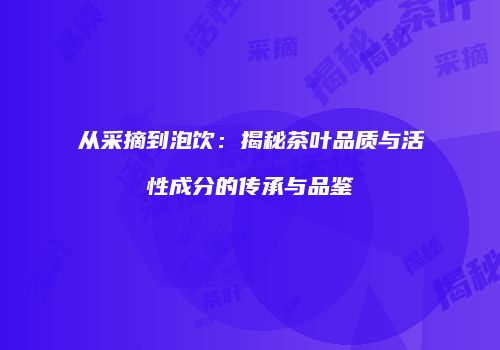 从采摘到泡饮：揭秘茶叶品质与活性成分的传承与品鉴