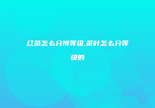 红茶怎么分辨等级,茶叶怎么分等级的