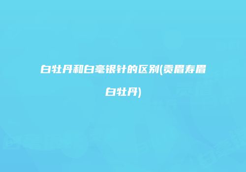 白牡丹和白毫银针的区别(贡眉寿眉白牡丹)
