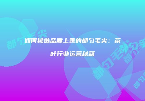 如何挑选品质上乘的都匀毛尖：茶叶行业运营秘籍