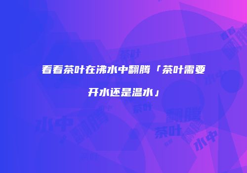 看着茶叶在沸水中翻腾「茶叶需要开水还是温水」