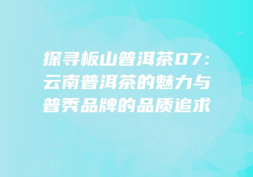 探寻板山普洱茶07：云南普洱茶的魅力与普秀品牌的品质追求