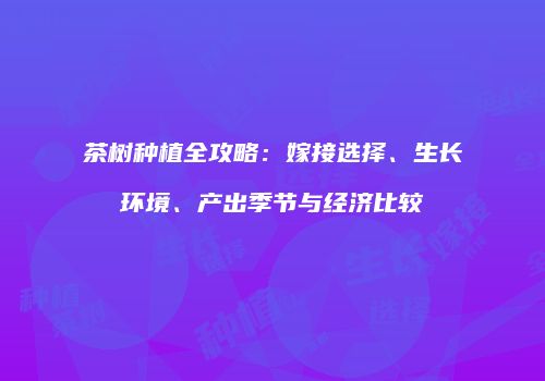 茶树种植全攻略：嫁接选择、生长环境、产出季节与经济比较