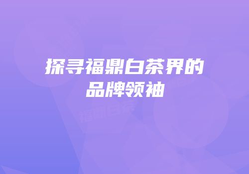 探寻福鼎白茶界的品牌领袖