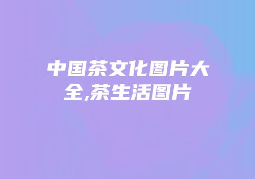 中国茶文化图片大全,茶生活图片