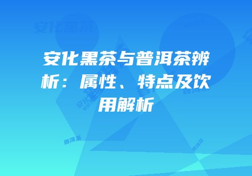 安化黑茶与普洱茶辨析：属性、特点及饮用解析