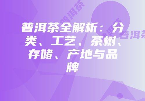 普洱茶全解析：分类、工艺、茶树、存储、产地与品牌