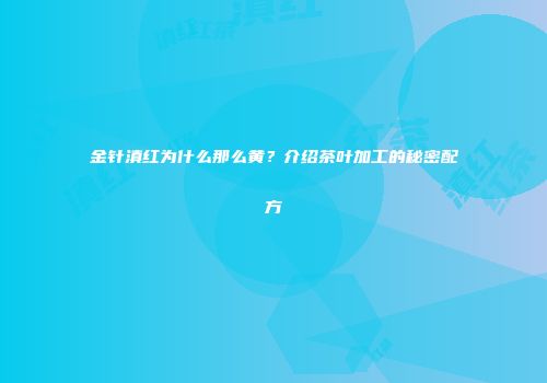 金针滇红为什么那么黄？介绍茶叶加工的秘密配方