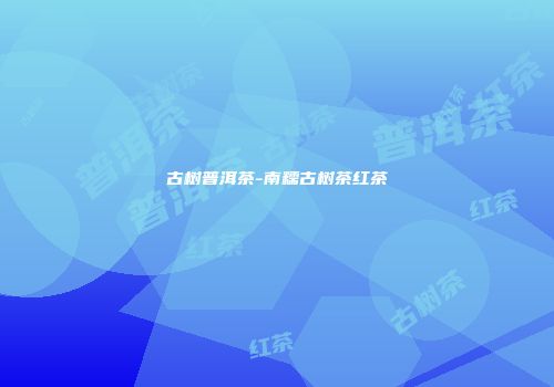 古树普洱茶-南糯古树茶红茶