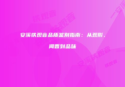 安溪铁观音品质鉴别指南：从观形、闻香到品味