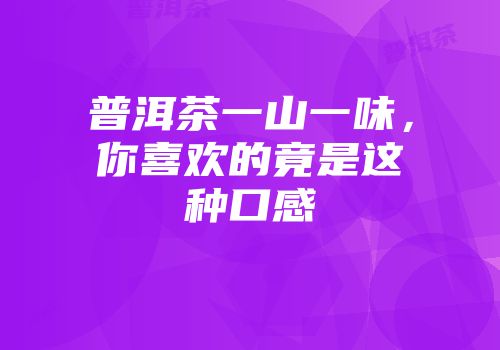 普洱茶一山一味，你喜欢的竟是这种口感