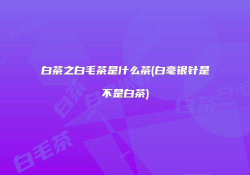 白茶之白毛茶是什么茶(白毫银针是不是白茶)