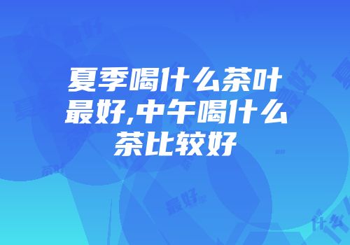 夏季喝什么茶叶最好,中午喝什么茶比较好