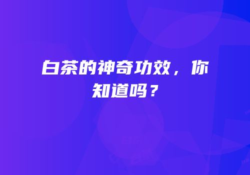 白茶的神奇功效，你知道吗？