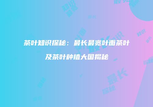 茶叶知识探秘：最长最宽叶面茶叶及茶叶种植大国揭秘