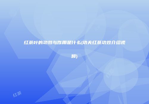 红茶叶的功效与作用是什么(功夫红茶功效介绍视频)