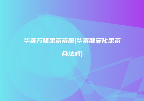 华莱万隆黑茶茶园(华莱健安化黑茶合法吗)