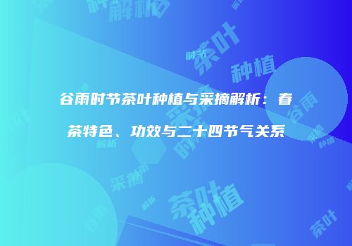 谷雨时节茶叶种植与采摘解析：春茶特色、功效与二十四节气关系